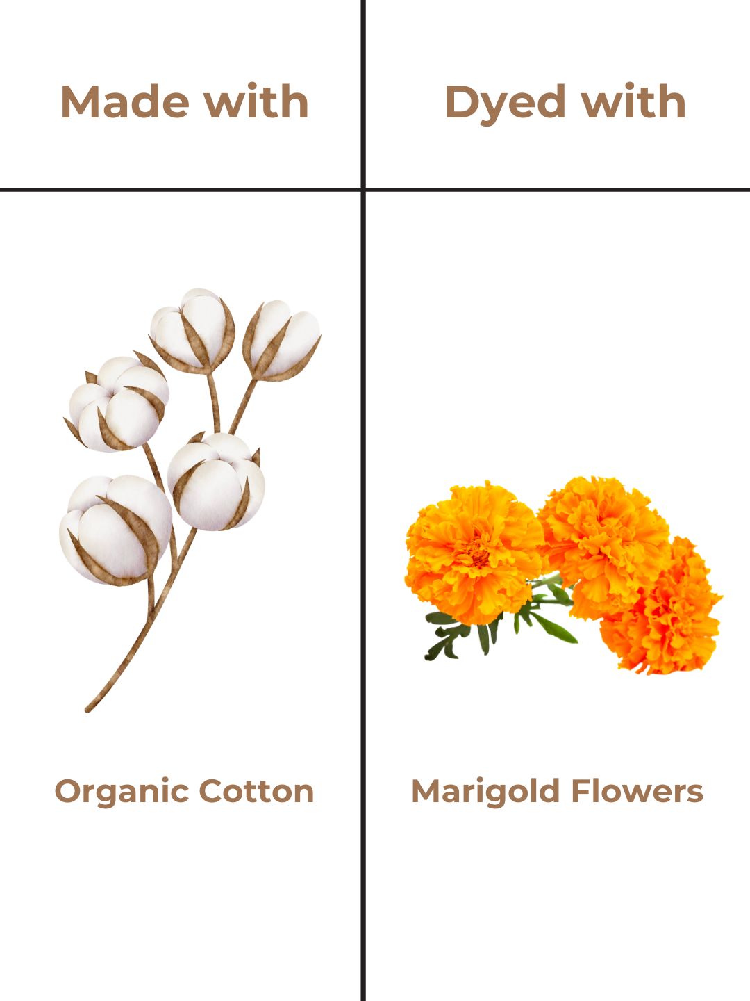 Turmeric Yellow Organic Cotton & Naturally Dyed T-shirt